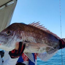 遊漁船 ニライカナイ 釣果