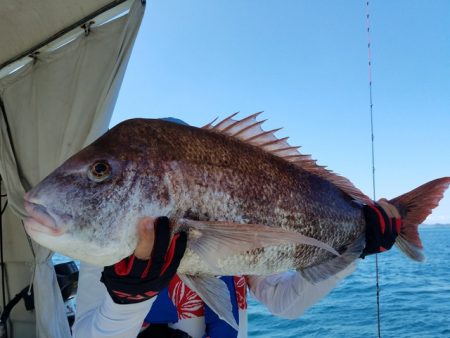 遊漁船　ニライカナイ 釣果