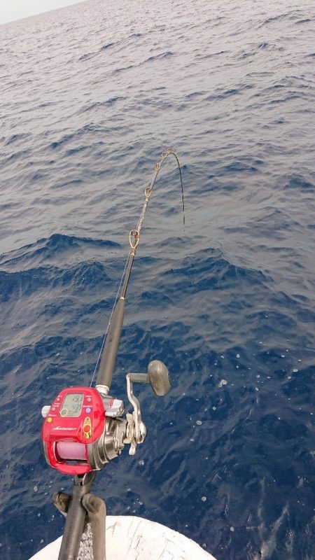 龍神丸(福井) 釣果