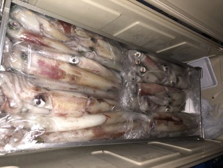 幸風（さちかぜ） 釣果