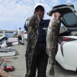 大進丸(新潟) 釣果