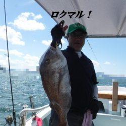 遊漁船 幸友丸 釣果