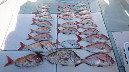 フィッシングボートACE(エース) 釣果