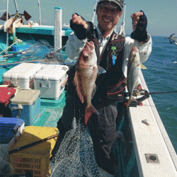 清和丸 釣果