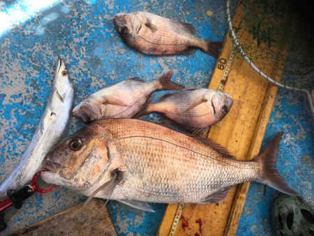 幸吉丸 釣果