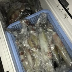 寿裕 （YOSHIHIRO） 釣果