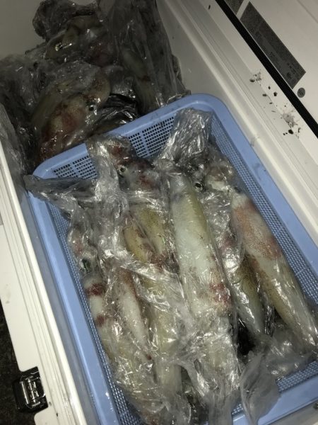 寿裕 （YOSHIHIRO） 釣果