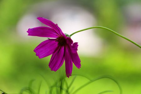 小菅トラウトガーデン 釣果