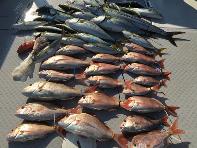 ミタチ丸 釣果