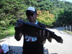 すそのフィッシングパーク 釣果