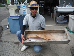 すそのフィッシングパーク 釣果