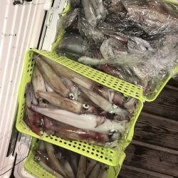 寿裕 （YOSHIHIRO） 釣果