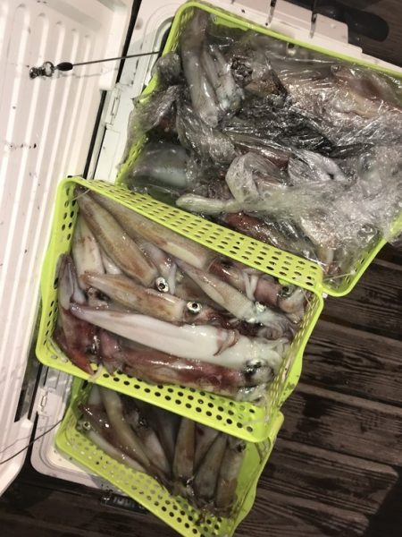 寿裕 （YOSHIHIRO） 釣果