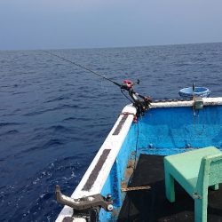 龍神丸(福井) 釣果