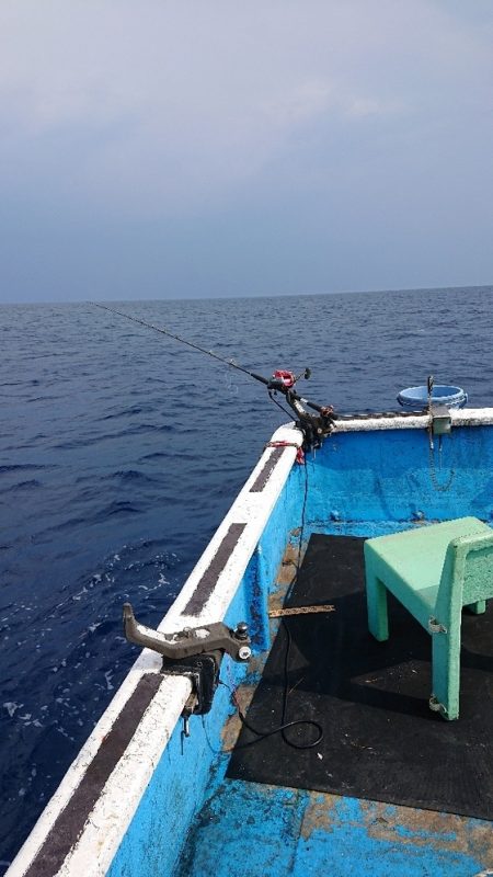 龍神丸(福井) 釣果