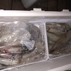 幸風（さちかぜ） 釣果