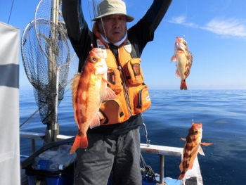 鯛紅丸 釣果