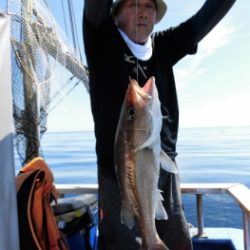 鯛紅丸 釣果