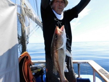 鯛紅丸 釣果