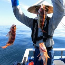 鯛紅丸 釣果