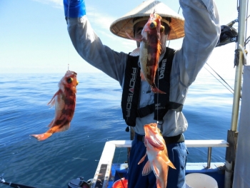鯛紅丸 釣果