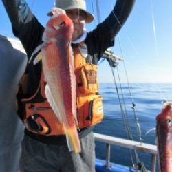 鯛紅丸 釣果