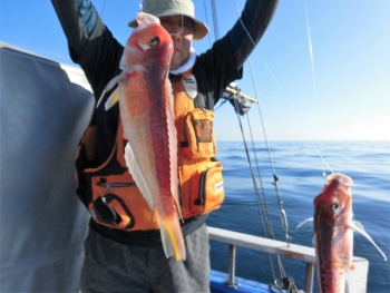 鯛紅丸 釣果