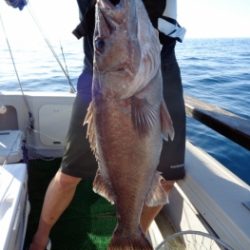 鯛紅丸 釣果