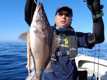 鯛紅丸 釣果