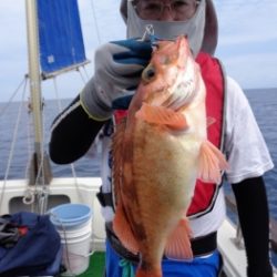 鯛紅丸 釣果