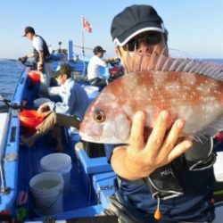 鯛紅丸 釣果