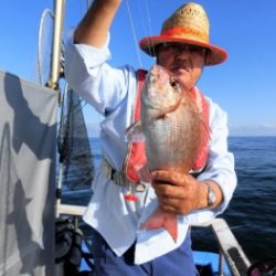 鯛紅丸 釣果