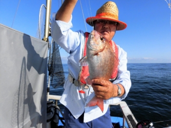 鯛紅丸 釣果