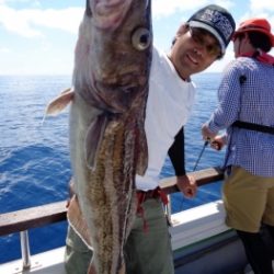 鯛紅丸 釣果
