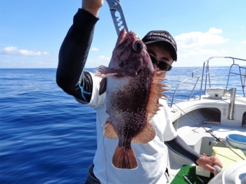 鯛紅丸 釣果