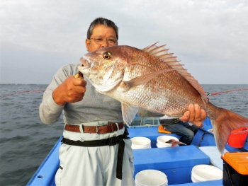 鯛紅丸 釣果