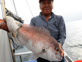 鯛紅丸 釣果
