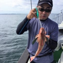鯛紅丸 釣果