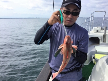 鯛紅丸 釣果
