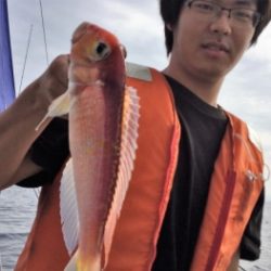 鯛紅丸 釣果