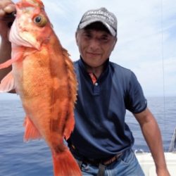 鯛紅丸 釣果