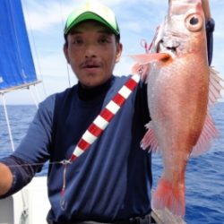 鯛紅丸 釣果
