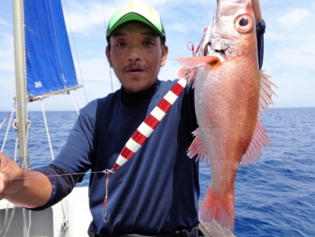 鯛紅丸 釣果