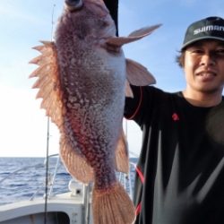 鯛紅丸 釣果