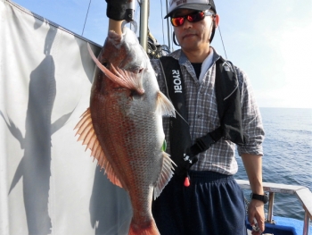 鯛紅丸 釣果