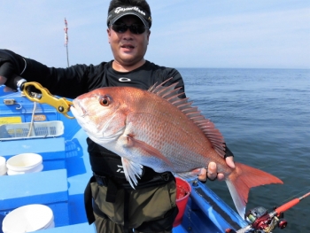 鯛紅丸 釣果