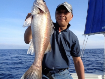 鯛紅丸 釣果