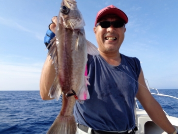 鯛紅丸 釣果
