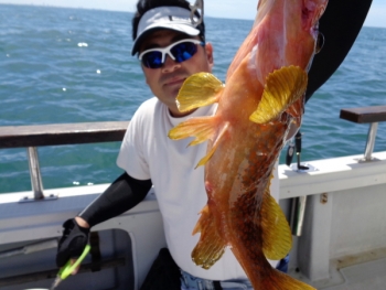 鯛紅丸 釣果