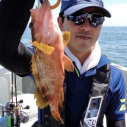 鯛紅丸 釣果